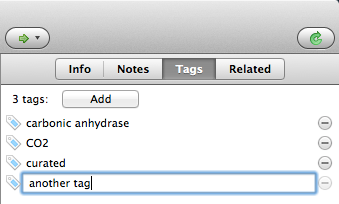Adding a tag in the Tags tab of an item.